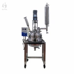 Reactor d'acer inoxidable de doble capa de 10L